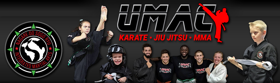 United Martial Arts Center of Port Jefferson, NY Desktop Header Image
